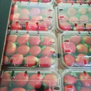 Fresh Handpicked Whole Strawberries