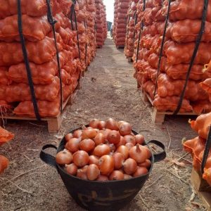 Onions
