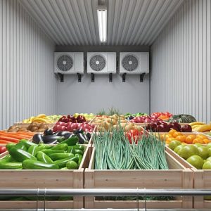 Vegetable